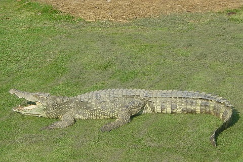 Kanpur Zoological Park